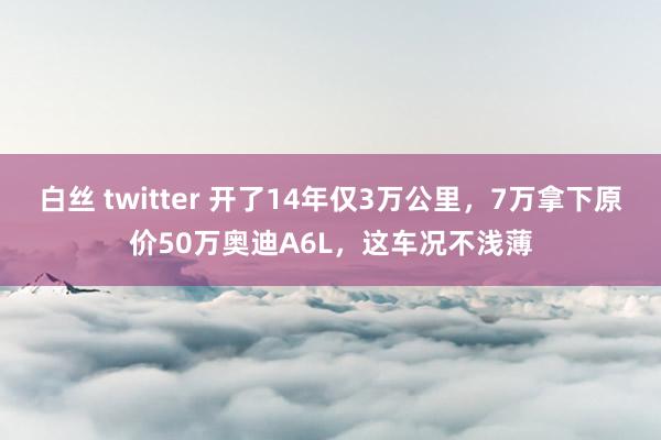 白丝 twitter 开了14年仅3万公里，7万拿下原价50万奥迪A6L，这车况不浅薄