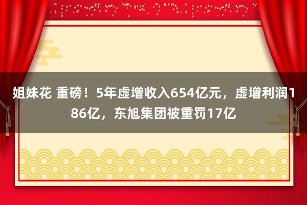 姐妹花 重磅！5年虚增收入654亿元，虚增利润186亿，东旭集团被重罚17亿