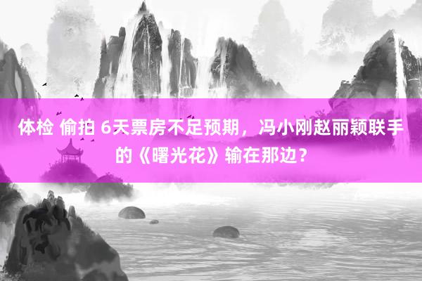体检 偷拍 6天票房不足预期，冯小刚赵丽颖联手的《曙光花》输在那边？