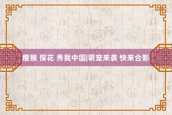 瘦猴 探花 秀我中国|萌宠来袭 快来合影