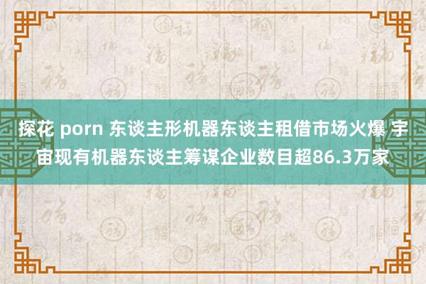 探花 porn 东谈主形机器东谈主租借市场火爆 宇宙现有机器东谈主筹谋企业数目超86.3万家