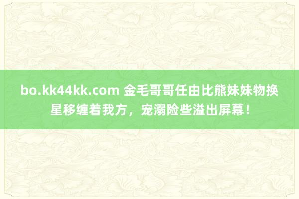 bo.kk44kk.com 金毛哥哥任由比熊妹妹物换星移缠着我方，宠溺险些溢出屏幕！