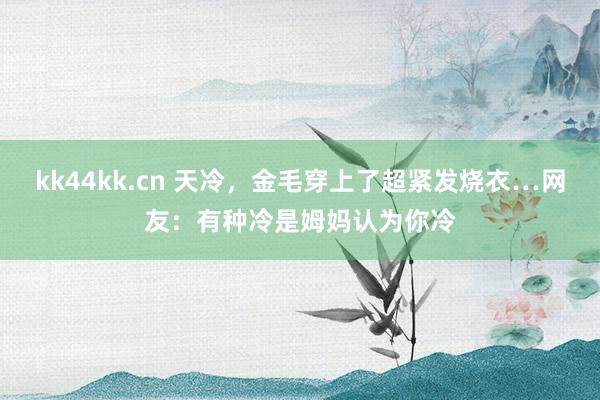 kk44kk.cn 天冷，金毛穿上了超紧发烧衣…网友：有种冷是姆妈认为你冷
